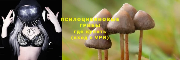 ПСИЛОЦИБИНОВЫЕ ГРИБЫ Кинешма