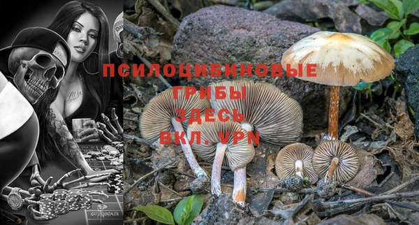 молекула духа Козельск