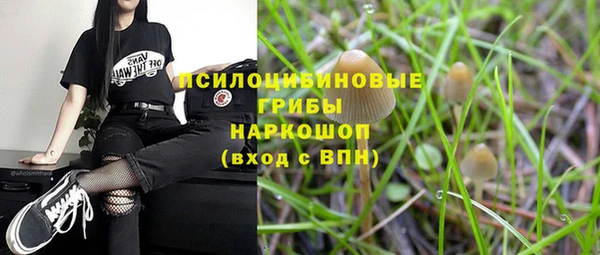 прущие грибы Кодинск