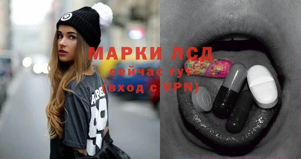 индика Козловка