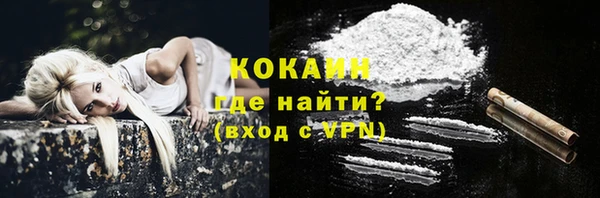 молекула духа Козельск