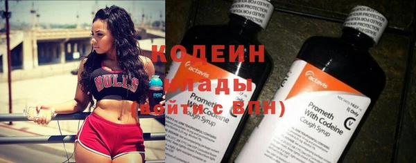 молекула духа Козельск
